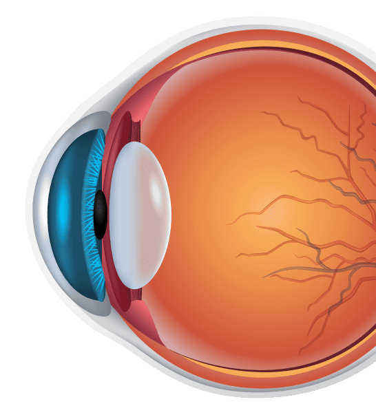 eye-image eye image